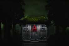 Into The Woods Into The Woods