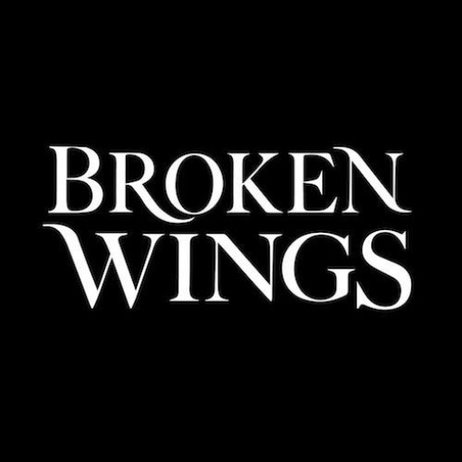 Broken Wings Broken Wings