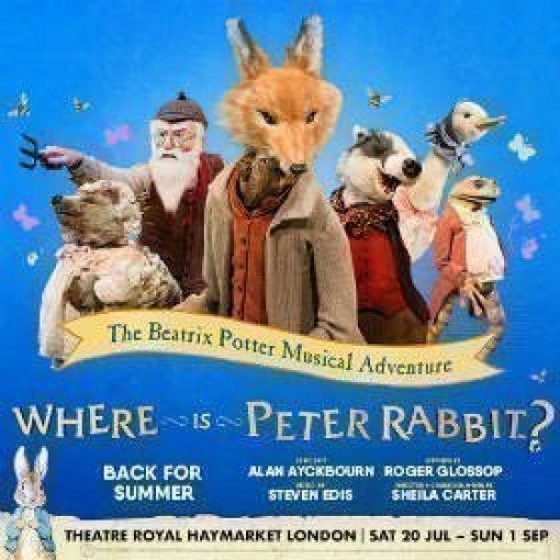 Where Is Peter Rabbit? Where Is Peter Rabbit?